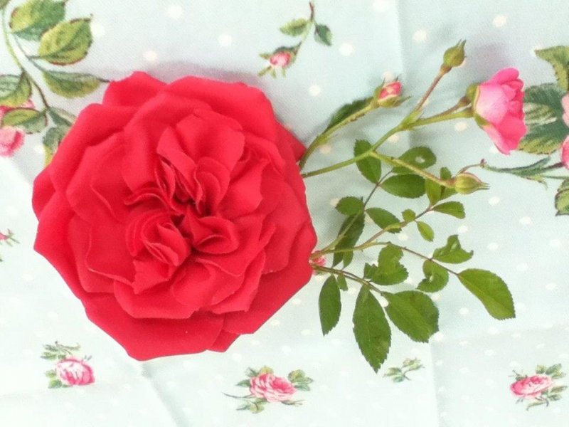 Old Rose