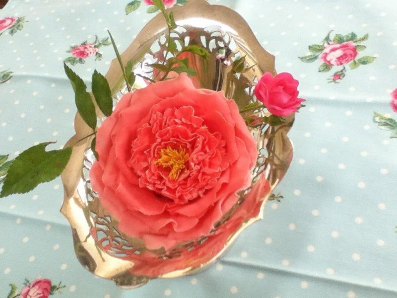 Old Rose